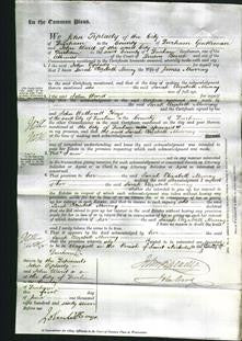 Court of Common Pleas - Sarah Elizabeth Murray-Original Ancestry
