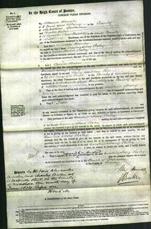 Court of Common Pleas - Caroline Mary Seeley-Original Ancestry