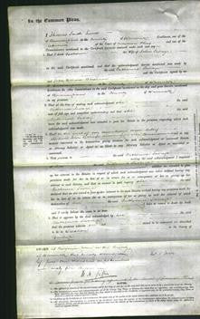 Court of Common Pleas - Catherine Savage-Original Ancestry