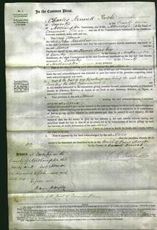 Court of Common Pleas - Maria Bradshaw-Original Ancestry