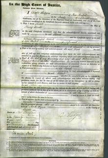 Court of Common Pleas - Mary Woods-Original Ancestry