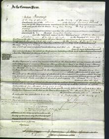 Court of Common Pleas - Mary Ann Wadley-Original Ancestry