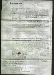 Court of Common Pleas - Sarah Gunner-Original Ancestry