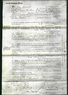 Court of Common Pleas - Sophia Bagg-Original Ancestry