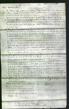 Court of Common Pleas - Marsha Lewis and Mary Purcell-Original Ancestry