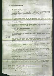 Court of Common Pleas - Harriett Bourne-Original Ancestry