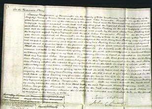 Court of Common Pleas - Mary Ann Ponting-Original Ancestry