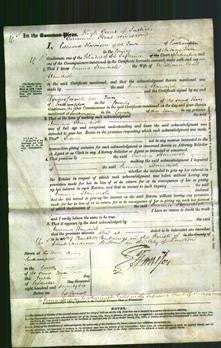 Court of Common Pleas - Emma Standish-Original Ancestry