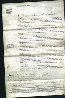Court of Common Pleas - Eliza Rice-Original Ancestry