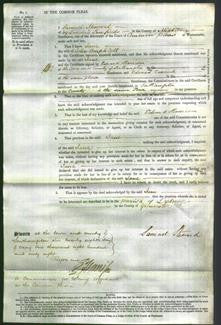 Court of Common Pleas - Jane Amphlett-Original Ancestry