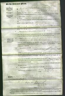 Court of Common Pleas - Maria Goodger-Original Ancestry