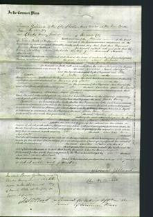 Court of Common Pleas - Caroline Anne Richards-Original Ancestry