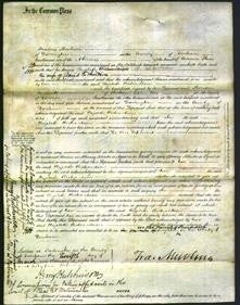 Court of Common Pleas - Elizabeth Richardson-Original Ancestry