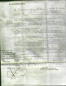 Court of Common Pleas - Frances Isabella Dobson-Original Ancestry