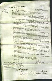 Court of Common Pleas - Ellen Boyes and Ann Beesley-Original Ancestry