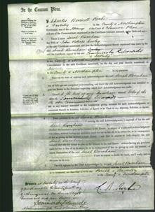 Court of Common Pleas - Sarah Burnham Cowley-Original Ancestry