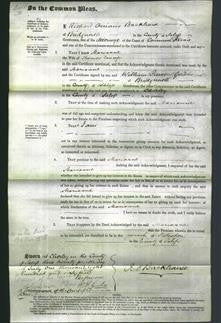 Court of Common Pleas - Marianne Crump-Original Ancestry