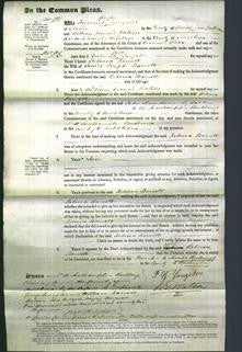 Court of Common Pleas - Rebecca Barnett-Original Ancestry