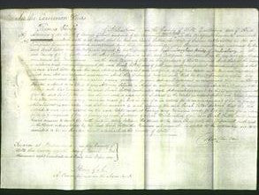 Court of Common Pleas - Sarah Satter-Original Ancestry