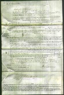 Court of Common Pleas - Martha Williams-Original Ancestry