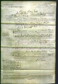 Court of Common Pleas - Mary Ann Felton, Jane Tippett and Elizabeth Green-Original Ancestry