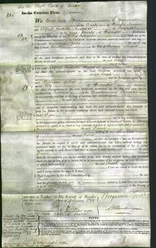 Court of Common Pleas - Sarah Mayall-Original Ancestry