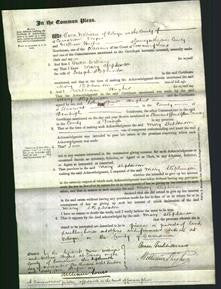 Court of Common Pleas - Mary Stephenson-Original Ancestry