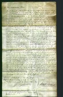 Court of Common Pleas - Ann Webb and Martha Reay-Original Ancestry