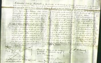Court of Common Pleas - Hannah Holland-Original Ancestry