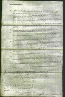 Court of Common Pleas - Jane Best-Original Ancestry