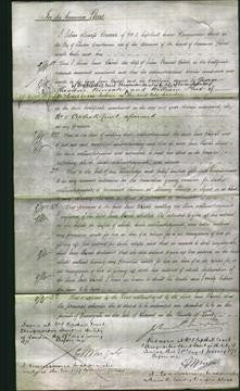 Court of Common Pleas - Jane Birch-Original Ancestry