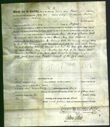 Deed by Married Women - Ann Webb and Martha Reay-Original Ancestry