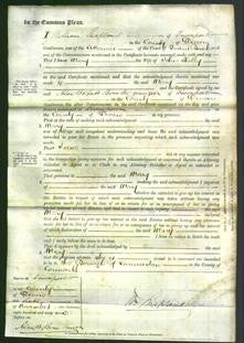 Court of Common Pleas - Mary Skelly-Original Ancestry