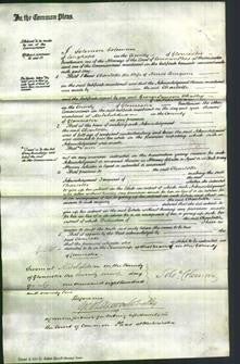 Court of Common Pleas - Charlotte Burgun-Original Ancestry