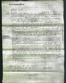 Court of Common Pleas - Elizabeth Winn-Original Ancestry
