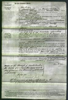 Court of Common Pleas - Hannah Johnson-Original Ancestry