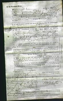 Court of Common Pleas - Eleanor Jones-Original Ancestry