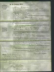 Court of Common Pleas - Margaret Ann Blackett-Original Ancestry