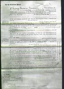 Court of Common Pleas - Julia Wells-Original Ancestry