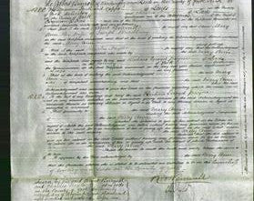 Court of Common Pleas - Mary Ann Bradbury-Original Ancestry