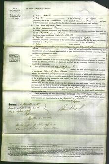 Court of Common Pleas - Elizabeth Jane Reeves-Original Ancestry
