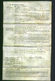 Court of Common Pleas - Mary Ann Glandfield-Original Ancestry