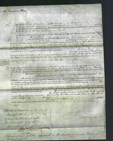 Court of Common Pleas - Mary Poynton-Original Ancestry