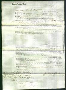 Court of Common Pleas - Mary Cowell Fitch-Original Ancestry