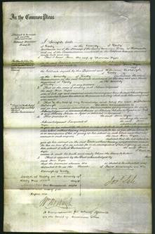 Court of Common Pleas - Ann Hyde-Original Ancestry
