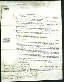 Court of Common Pleas - Mary Smallpeice-Original Ancestry