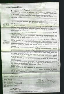 Court of Common Pleas - Eliza Evered-Original Ancestry