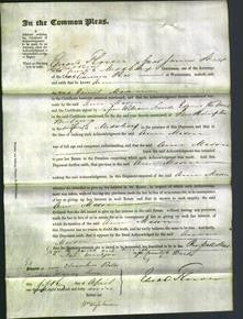 Court of Common Pleas - Ann Mason-Original Ancestry