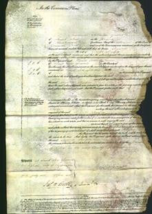 Court of Common Pleas - Elizabeth Sharples-Original Ancestry