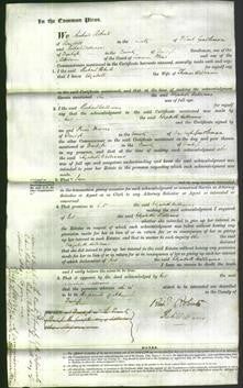 Court of Common Pleas - Elizabeth Williams-Original Ancestry